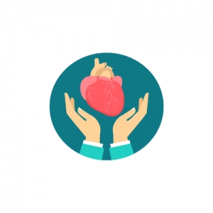 Evaluación Cardiovascular