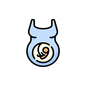 Obstetricia